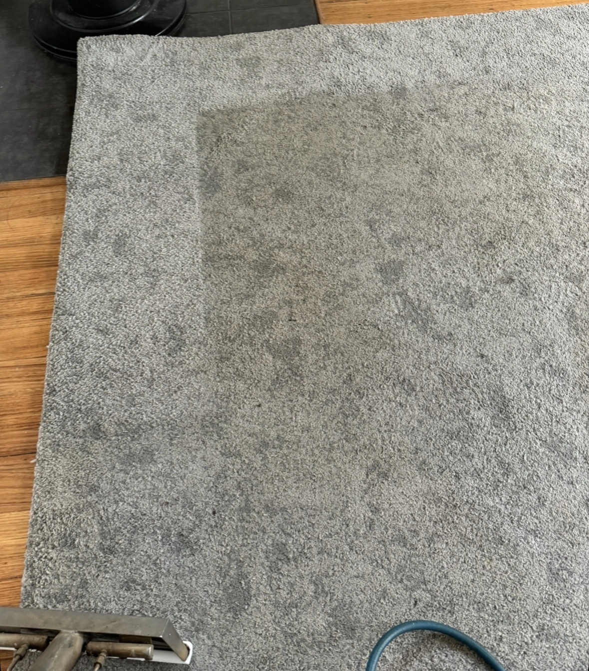 Grey rug part-way through professional rug cleaning in Shepparton showing a freshly cleaned strip