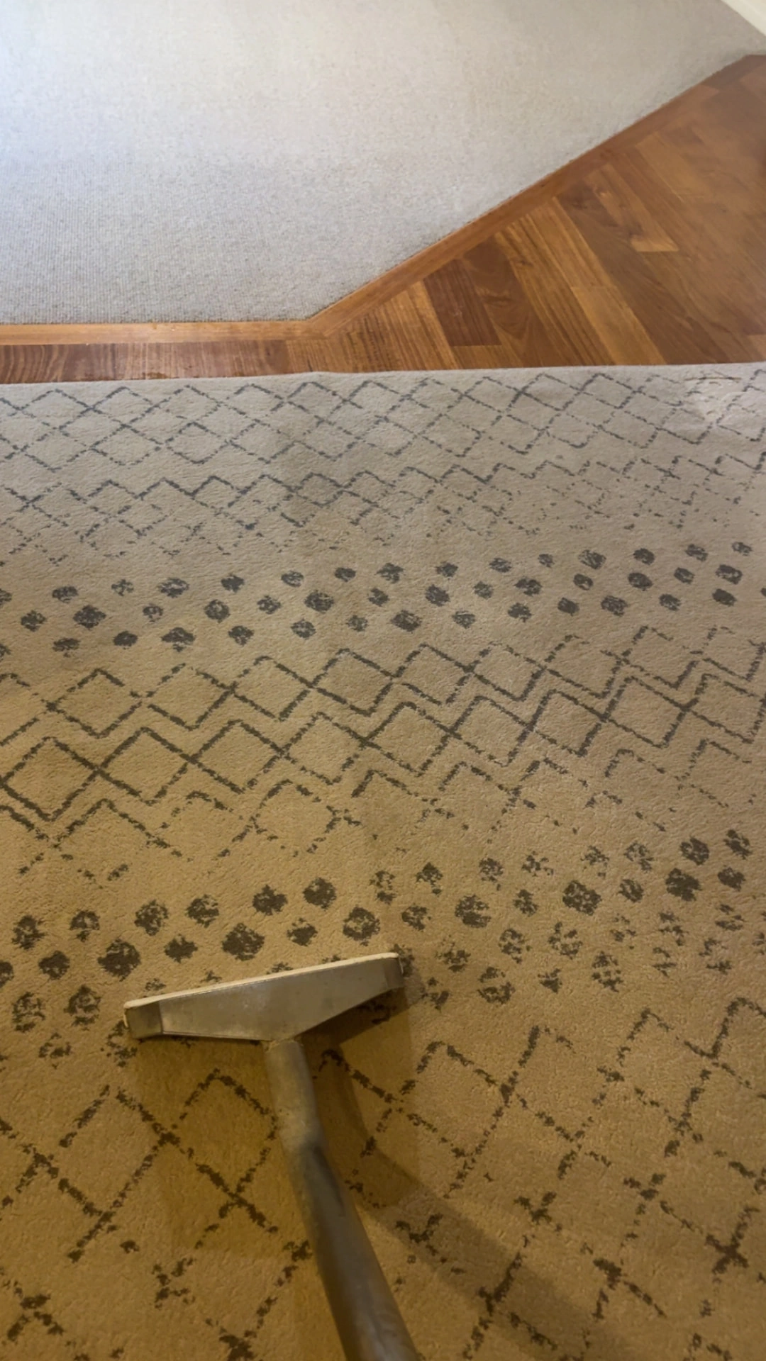 Patterned rug being steam cleaned with a professional wand during rug cleaning in Shepparton