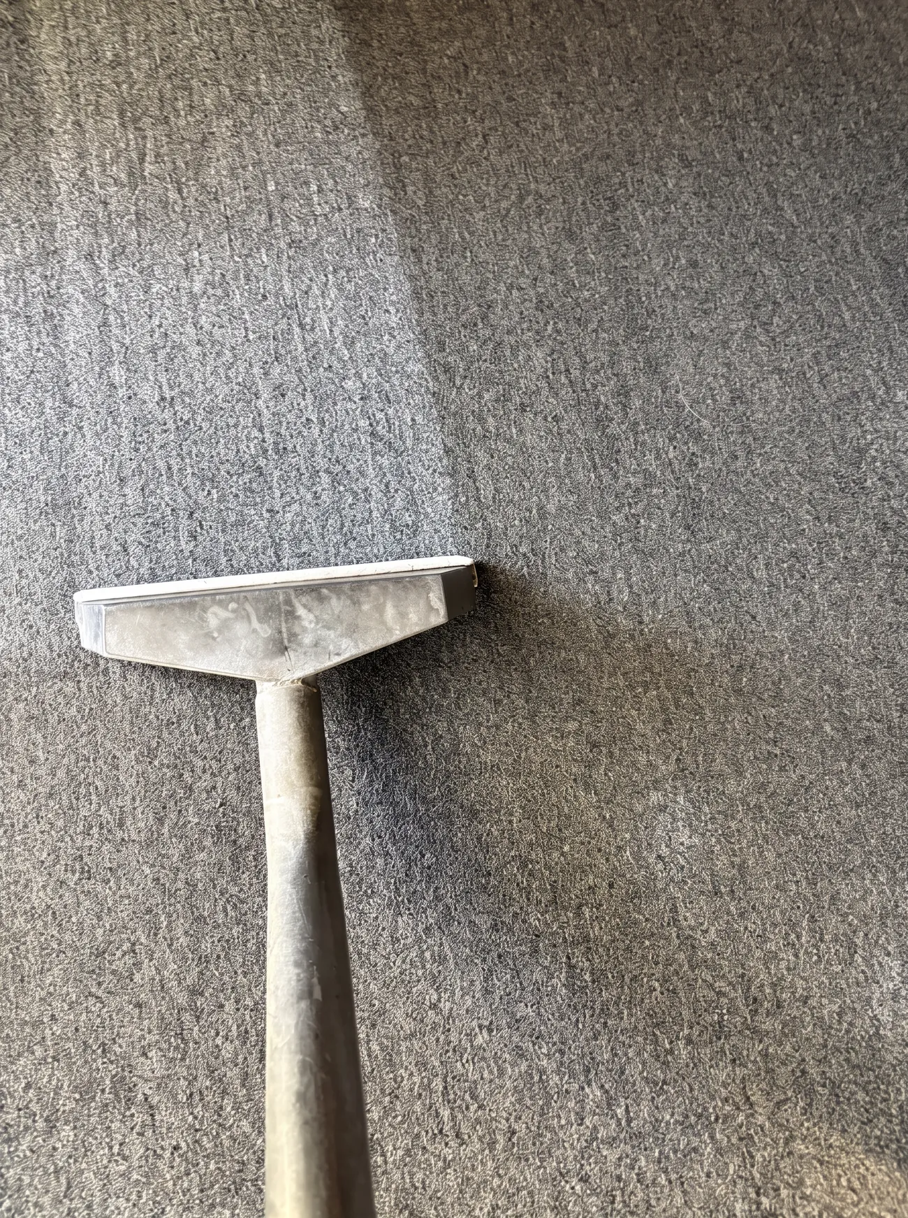 Carpet steam cleaning wand lifting dirt from grey carpet in a Shepparton home