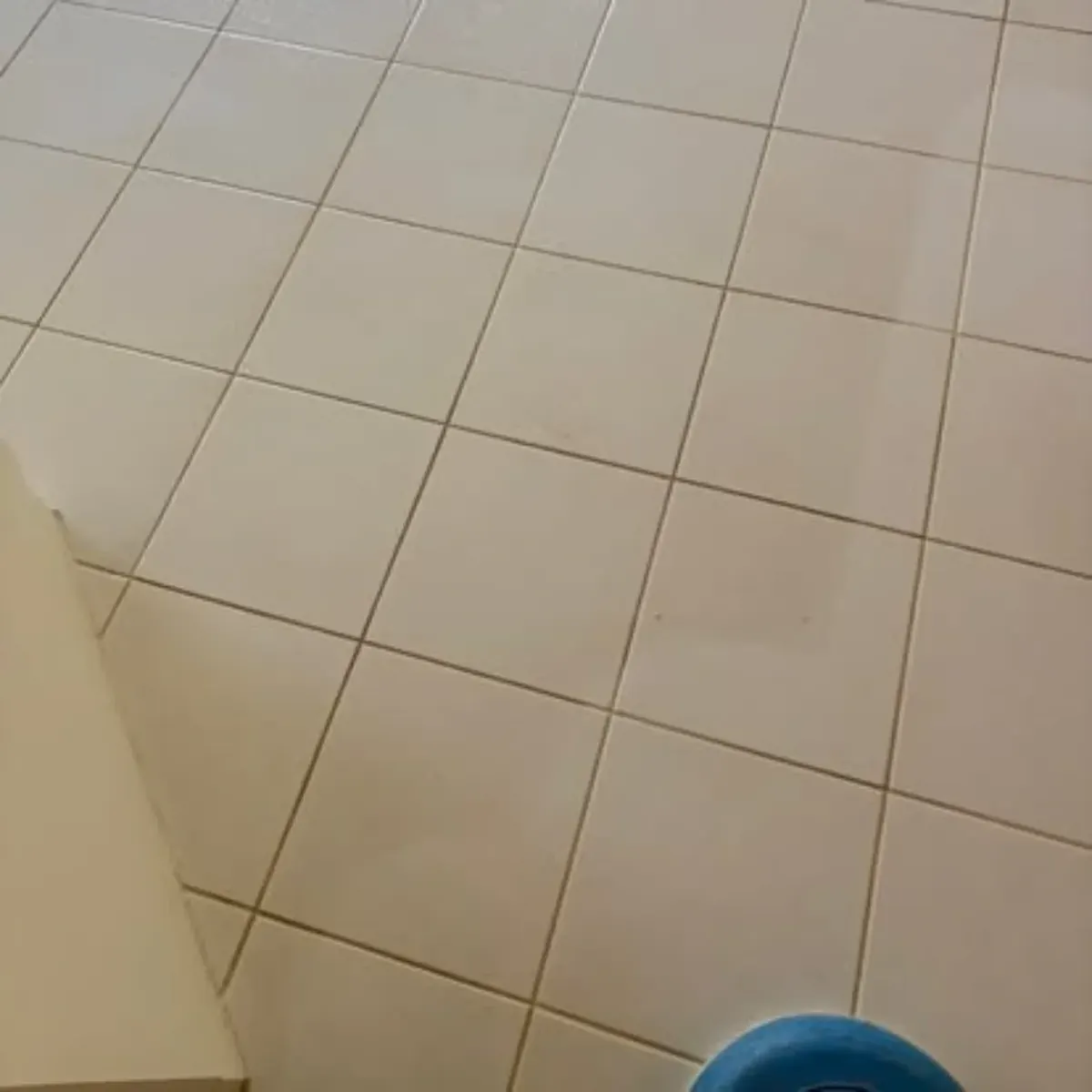 Clean white floor tiles after professional tile and grout cleaning by Shepp City Carpet Cleaning