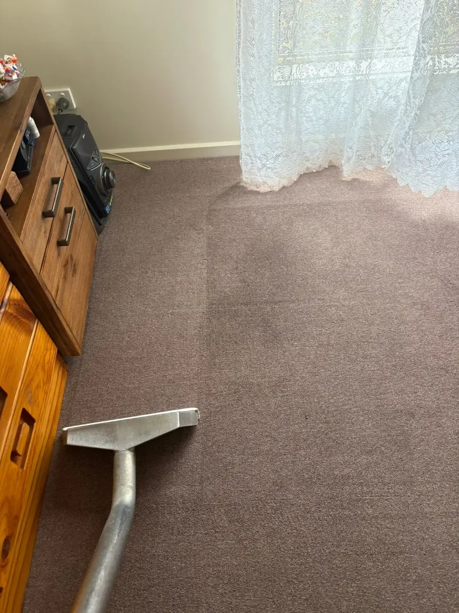 Shepp City Carpet Cleaning using a truck-mount carpet steam wand in a Shepparton home