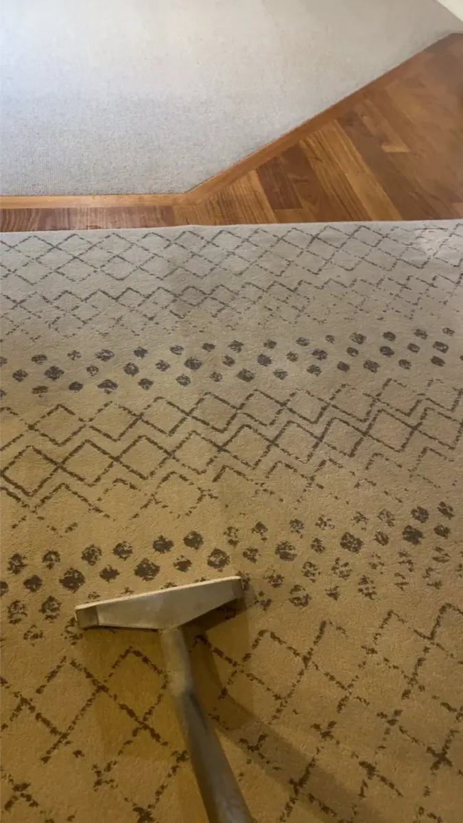 Patterned grey rug being professionally cleaned with steam wand by Shepp City Carpet Cleaning
